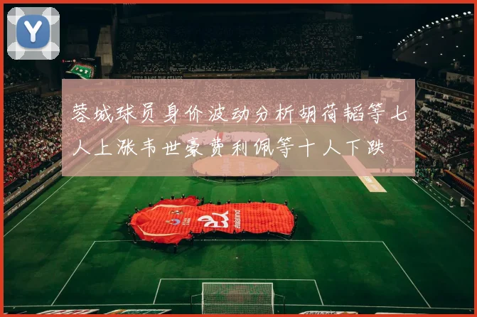 蓉城球员身价波动分析胡荷韬等七人上涨韦世豪费利佩等十人下跌
